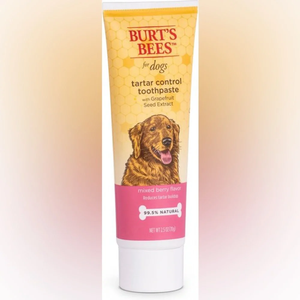 Dog Toothbrush and Toothpaste from Burt's Bees, Berry Flavor